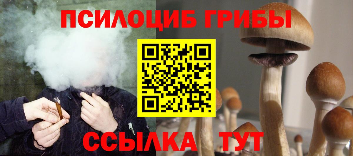 Галлюциногенные грибы Psilocybine cubensis  Галлюциногенные грибы ЛСД  Донской  Вход с VPN 